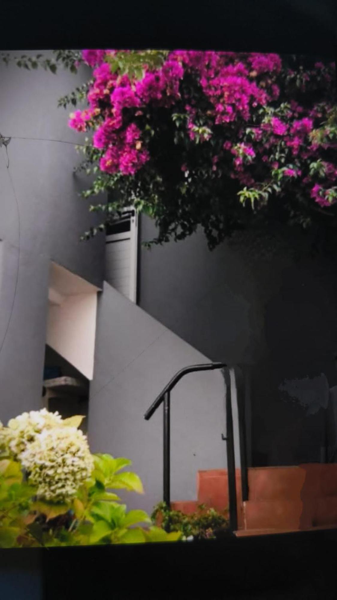 Casa Boa Vista Palmeira